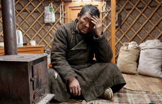 Малчид төрөөс ноолуурын салбарт олгож байгаа санхүүжилтийг тайлагнахыг шаардлаа  