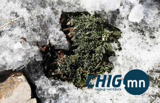 Маргаашаас хүйтний эрч суларч, баасан гарагт говь руу +5 хэм болно 