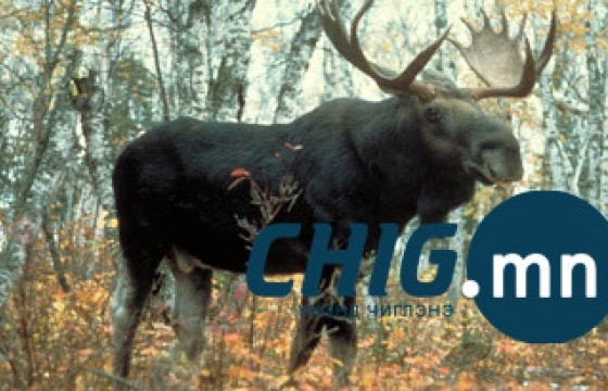 Шивэр хандгай агнасан иргэнд 2 жилийн хорих ял оноож, ₮39 саяыг төлүүлэхээр шийтгэлээ 