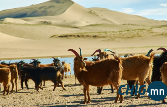 Ирэх сард хур тунадас ОЖД-аас ахиу байна 