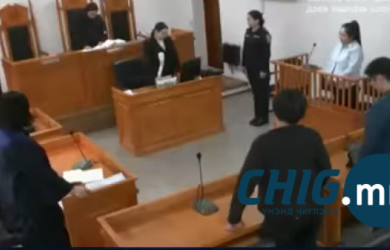 Албан тушаалаа ашиглаж ойн дүгнэлтгүйгээр 23 га-гаас мод бэлтгэжээ 