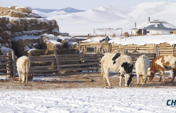 Маргааш, нөгөөдөр дулаарч, буцаад хүйтэрнэ 