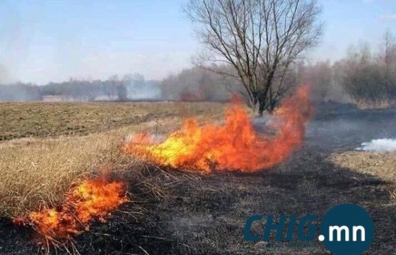 Хэнтийн Дадалд түймэр гарч, 2 га газар өртлөө 