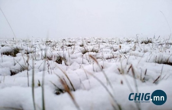 Гуравдугаар сарын 25-наас ихэнх нутгаар цас орж, шуурна 