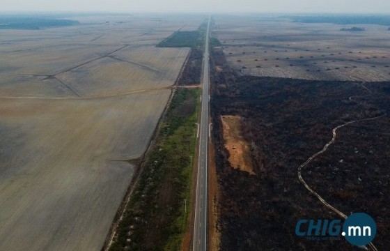 Амазоны ширэнгэн ойн голоор дамжин өнгөрөх хурдны замын хучилтыг эхлүүлнэ