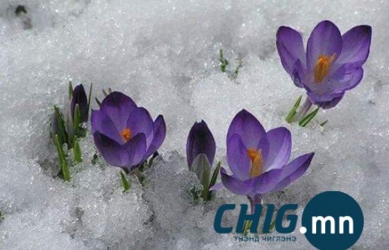 Энэ сарын 29 хүртэлх цаг агаарын төлөв 