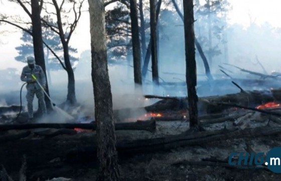  “Бага-Өлийн дэлэн”-д гарсан ойн түймрийг цурамд оруулан манаж хоножээ 