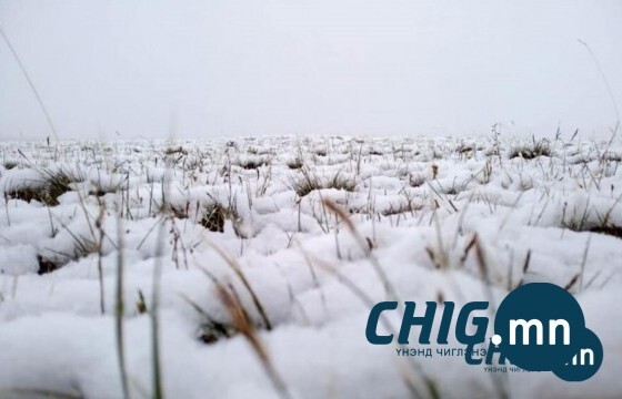 Пүрэв гарагт ахиухан нойтон цас орж, хүчтэй шуурна 