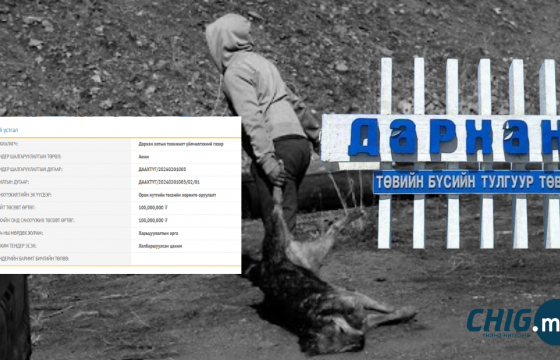 Дархан хот ₮100 саяар нохой устгал хийнэ 