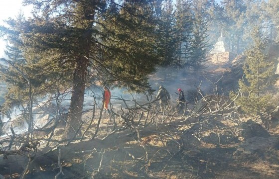 Богд уулын өчигдрийн түймэр иргэд ил гал түлснээс үүджээ 