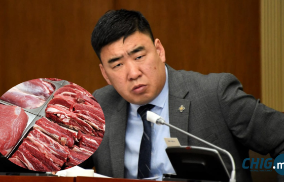 Н.Учралын бүрдүүлсэн засгийн сайд нар хөгөө дэлгэж эхэллээ