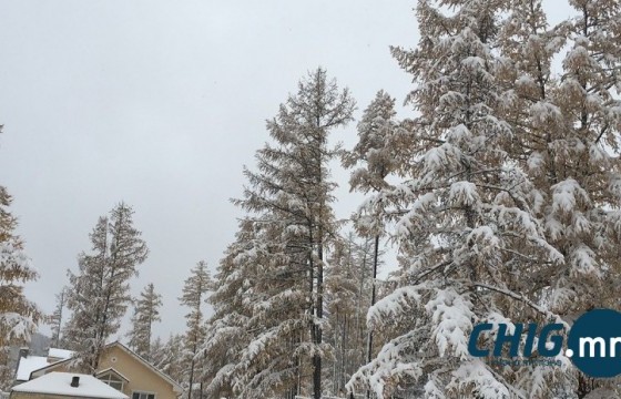 Өнөөдөр ихэнх нутгаар бороо, нойтон цас орно