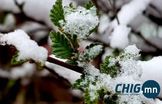 Ойрын тав хоног ихэнх нутгаар нойтон цас, бороо орно  