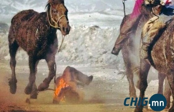 Завханд дөрвөн настай хүүхэд мориноос унаж, нас барлаа 