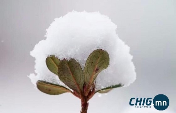 Өнөөдөр хангай, говийн нутгаар бороо орно 