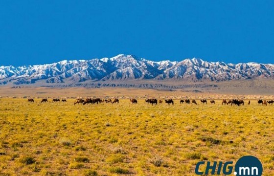 Говийн нутгаар 26 хэм хүрч, дулаарна 