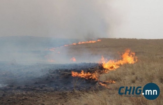Сүүлийн гурав хоногт зүүн аймгуудад 15900 га талбай түймэрт өртжээ 