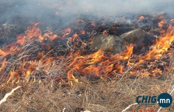 Өнжмөл өвсөө шатаасан 7 тохиолдлоос эд хөрөнгийн маргаан үүсчээ 