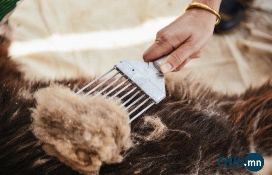 Ноолуур 210 мянган төгрөгт хүрэв