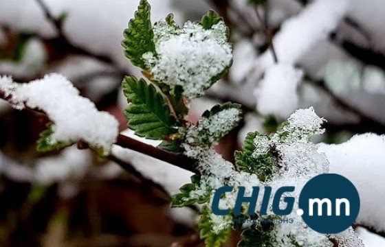 Маргаашаас эхлэн ихэнх нутгаар цас, бороо орно 