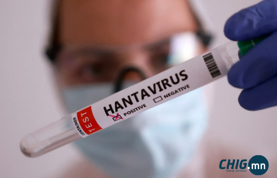 Хантавирусийн дэгдэлтийн дараа ДЭМБ улс орнуудад өндөржүүлсэн бэлэн байдал зарлахыг зөвлөв