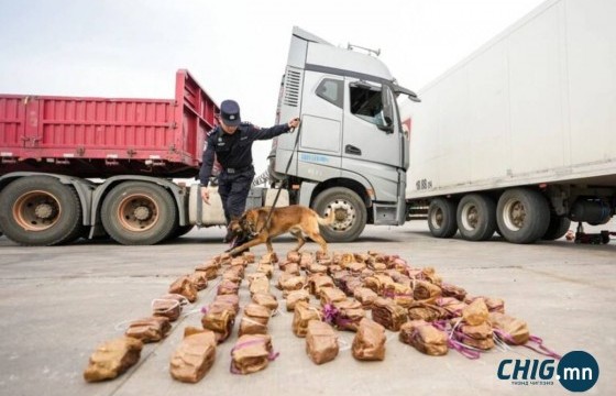 БНХАУ руу 9.8 тонн адууны гэдэс, шир, чулуу гаргахыг завджээ 