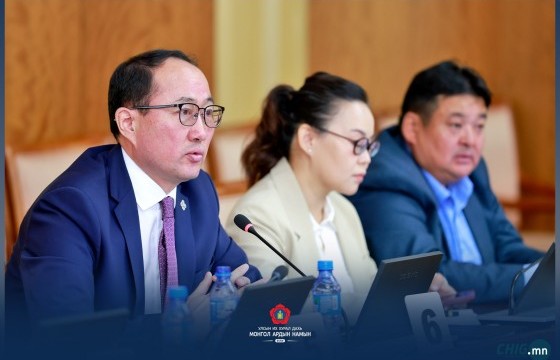 МАН-ын бүлгийн хуралдаанаар хоёр асуудал хэлэлцлээ