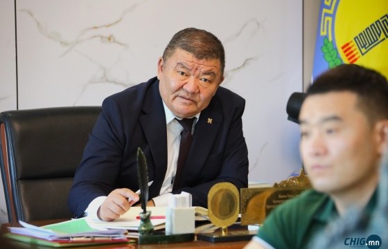 Хөвсгөлийн дарга нар эрсдэл ярьж зургаа нийтэлсэн ч, хоёр настай хүү тогонд цохиулж нас барлаа 