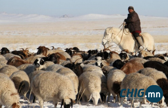 Малчны тухай хуулиар ерөнхий хяналтын сонсгол зохион байгуулна