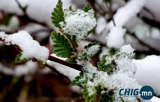 Энэ сарын 23 хүртэл бороо, нойтон цас орно 