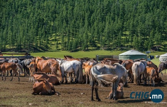 7 дугаар сарын цаг агаарын урьдчилсан төлөв