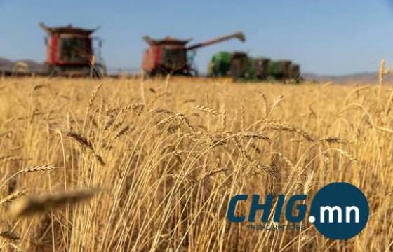 Маргаашаас тариалангийн бүс нутгаар бороо орно 