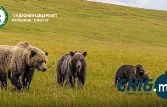 Сэрэмжлүүлэг: Үндэсний цэцэрлэг хүрээлэн рүү баавгай ирсэн байж болзошгүй 