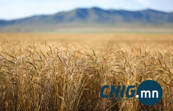 Яамнаас хөрс гүн хөлдөж эхлэх хугацааг танилцууллаа 