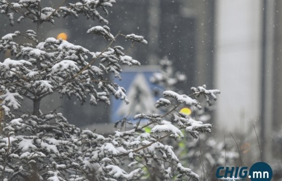 Улаанбаатарт 5 хэм дулаан, цастай